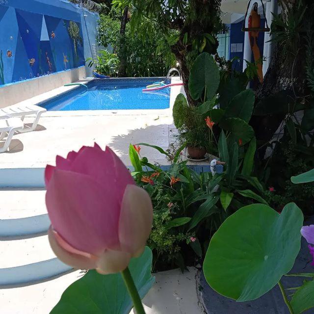 Porto Bahia Hotel Porto Seguro Zewnętrze zdjęcie
