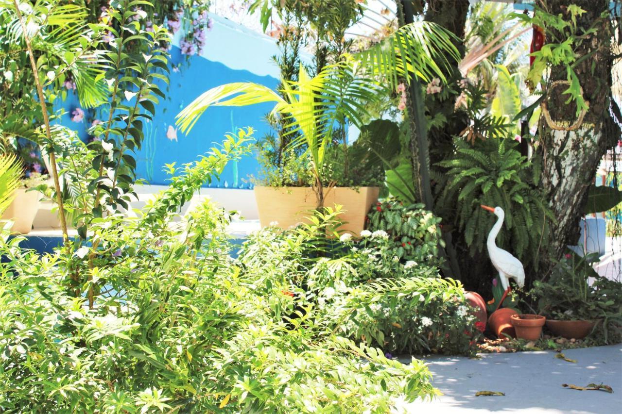 Porto Bahia Hotel Porto Seguro Zewnętrze zdjęcie