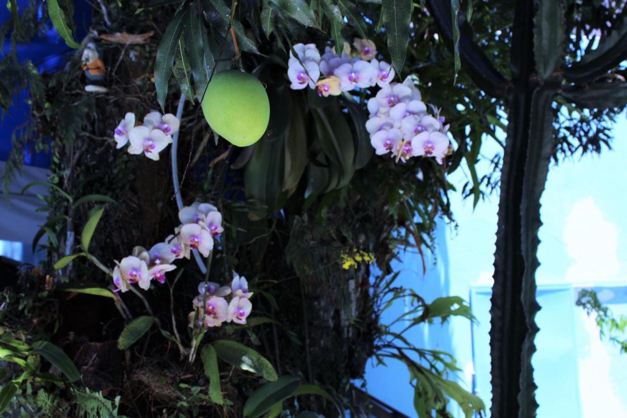 Porto Bahia Hotel Porto Seguro Zewnętrze zdjęcie